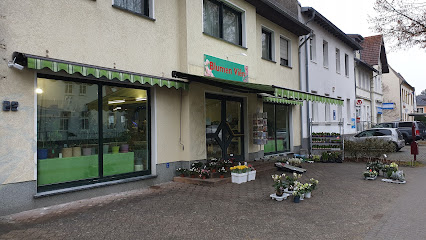 Blumen Vien