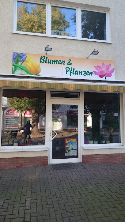 Blumen & Pflanzen