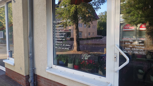 Blumen & Pflanzen