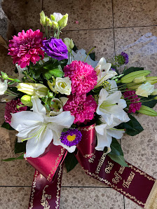 Blumen und Pflanzen