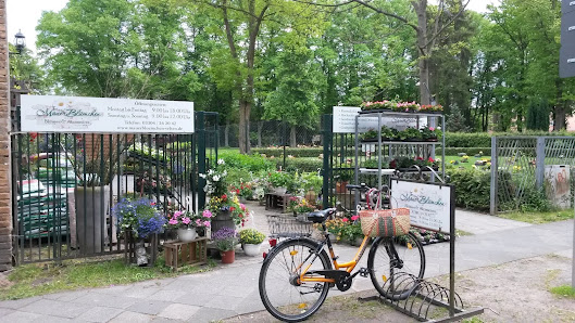 MauerBlümchen Velten