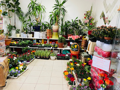 Thien's Blumen