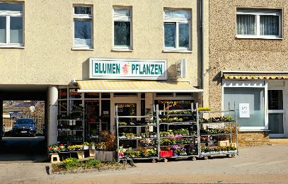 Blumen und Pflanzen