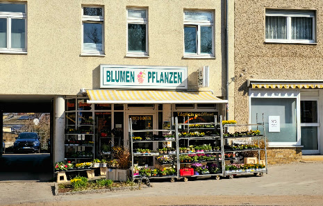 Blumen und Pflanzen