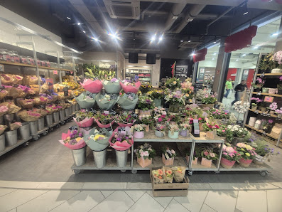BLUME2000 Wildau A 10 Center
