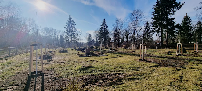 Höfert GmbH Garten-,Landschafts-, Sportplatzbau