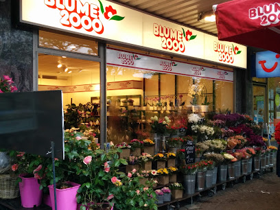 BLUME2000 Hamburg Berne