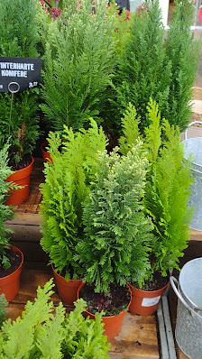 BLUME2000 Hamburg Farmsen