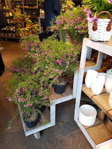 BLUME2000 Hamburg Farmsen