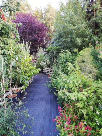 Gartencenter
