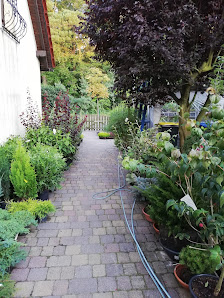 Dipl. Ing. (FH) Silke Springborn Gartencenter