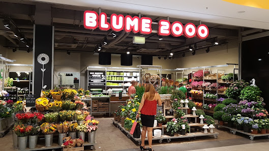 BLUME2000 Hamburg Hamburger Meile