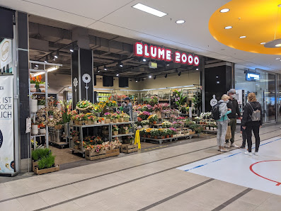 BLUME2000 Hamburg Hamburger Meile