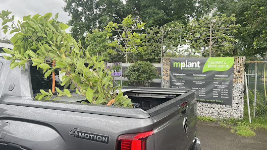 mplant