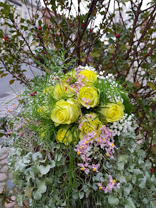 Blumen Immergrün Baier