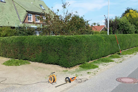 Garten Landschaftsbau Bad Freienwalde