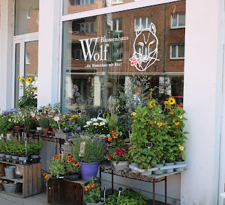 Blumenhaus Wolf Inh. Marina Lichtenknecker