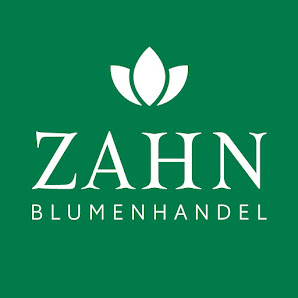 Blumenhandel Zahn GbR Sonnenblume