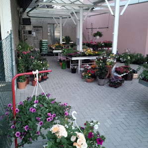 Fontana Gartenbau GmbH