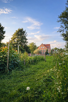 Event-Blumenfeld von Flowerfarm.de