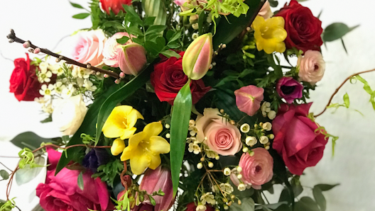 B3 Blumen und Pflanzen