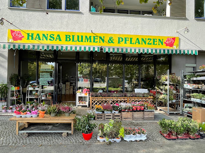 Hansa Blumen & Pflanzen