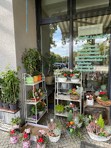 Hansa Blumen & Pflanzen