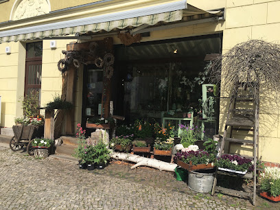 Quolke´s Blumen