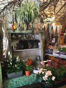 Quolke´s Blumen