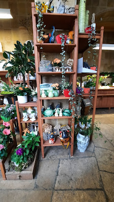 Blumenhaus Löwenzahn