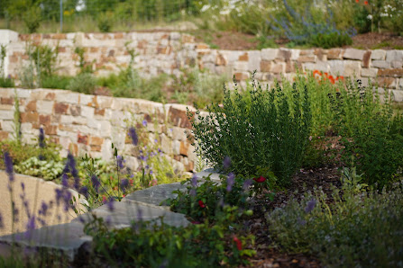 Neuland Gartengestaltung