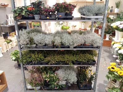 Schierz Blumen OHG