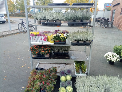 Schierz Blumen OHG