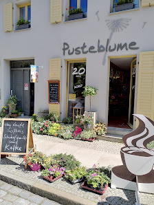 Weichmann Blumenladen Pusteblume