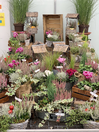 Blumen-Großhändler
