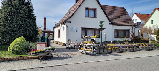 Gartenbauer