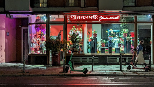 Zinnober Blumen