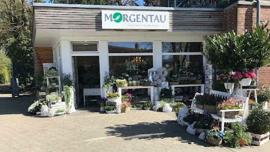 Morgentau Floristik UG