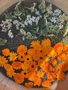 Eden Farm Spreewald