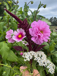 Eden Farm Spreewald