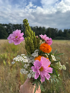 Eden Farm Spreewald