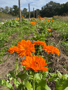 Eden Farm Spreewald
