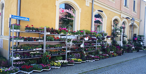 Floristik-Fachgeschäft Rosenkäfer