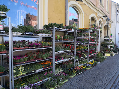 Floristik-Fachgeschäft Rosenkäfer