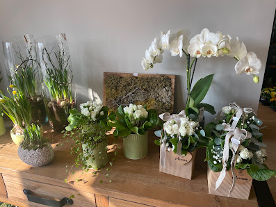 City Blumen Peitz