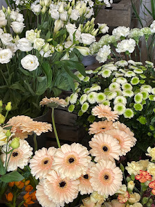 City Blumen Peitz