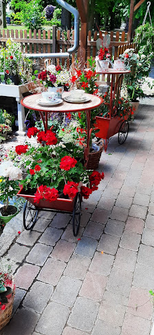 Blumen Ziemainz