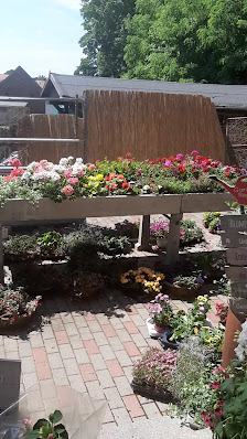 Blumen Ziemainz