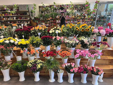 Blumen und Pflanzen