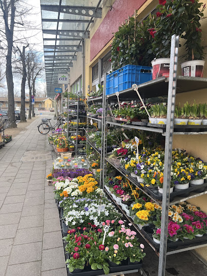 Blumen und Pflanzen